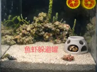 0.2mm 层高, 2 层墙, 100% 填充