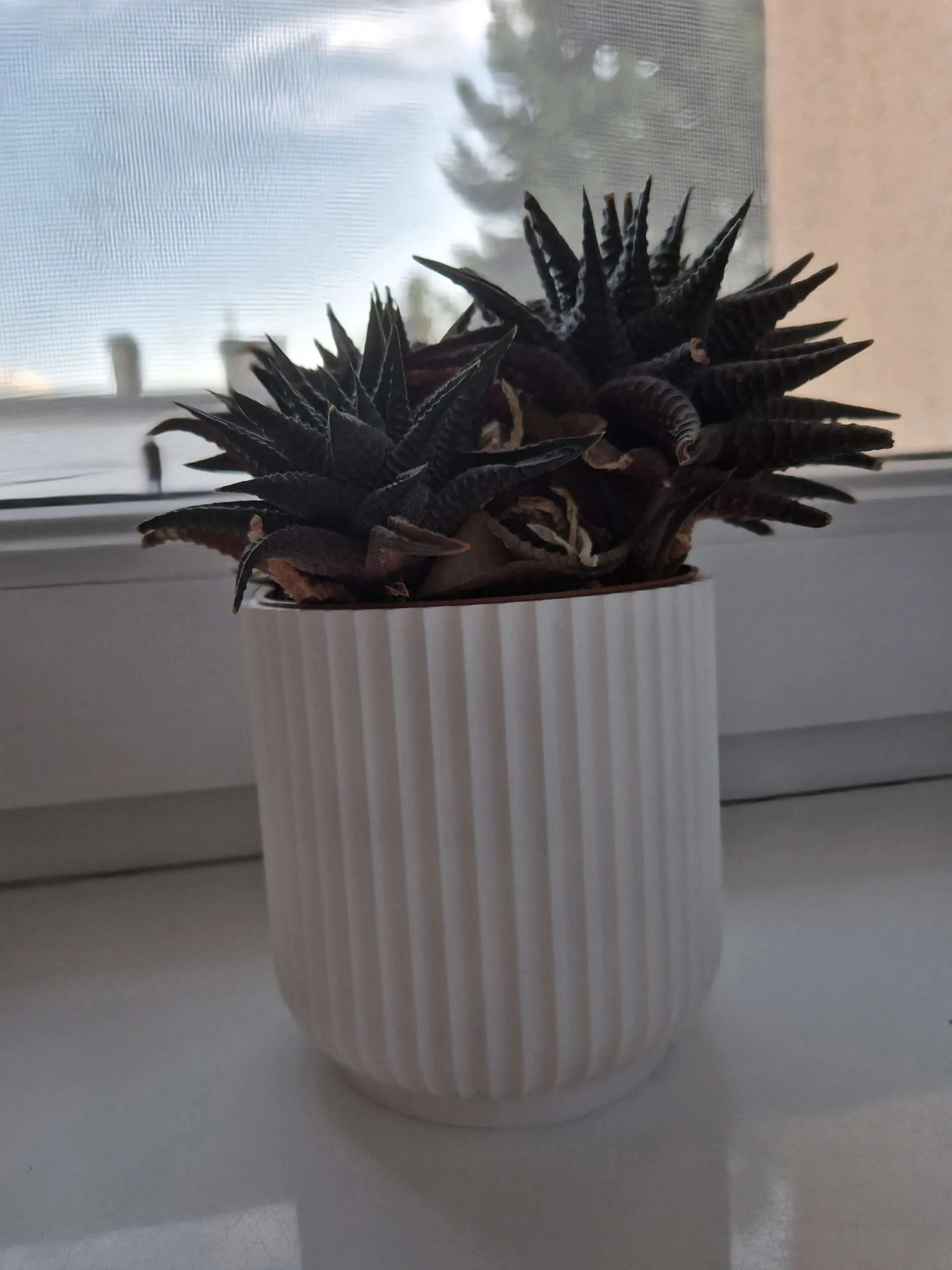 Miniatura 2 do modelo 3D Flower Pot