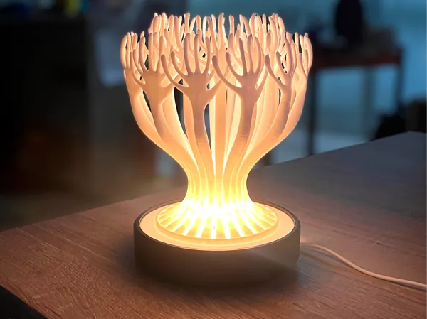 https://makerworld.bblmw.com/makerworld/model/US6451ce9fa61016/design/2025-01-15_7514a75ce8447.jpg