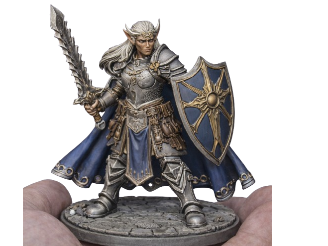Female Elf Paladin