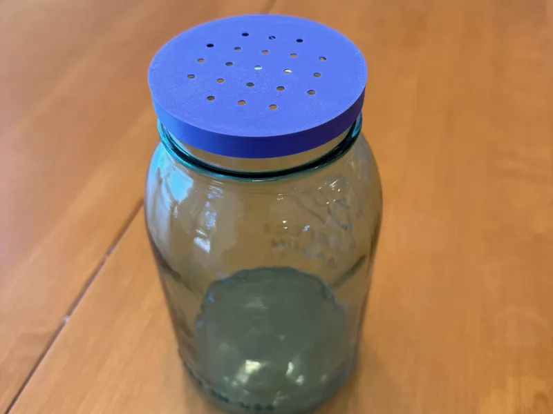 Mason Jar Terrarium Lid w/holes. Only 8.5g