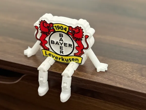 https://makerworld.bblmw.com/makerworld/model/US645e6444d677ac/design/2025-06-08_16acf2e9a601.jpeg