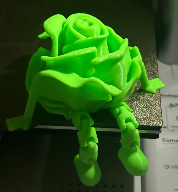 https://makerworld.bblmw.com/makerworld/model/US64604a9ea50bab/design/2024-12-31_2b6bff7392c98.jpg