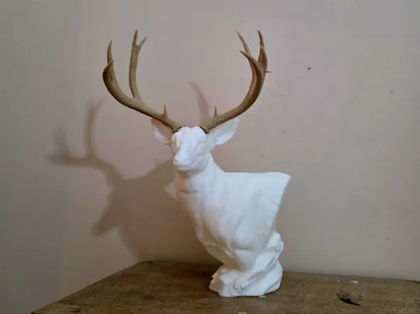 https://makerworld.bblmw.com/makerworld/model/US64608c1b3b301e/design/2026-01-14_403eb4880fbe7.jpg