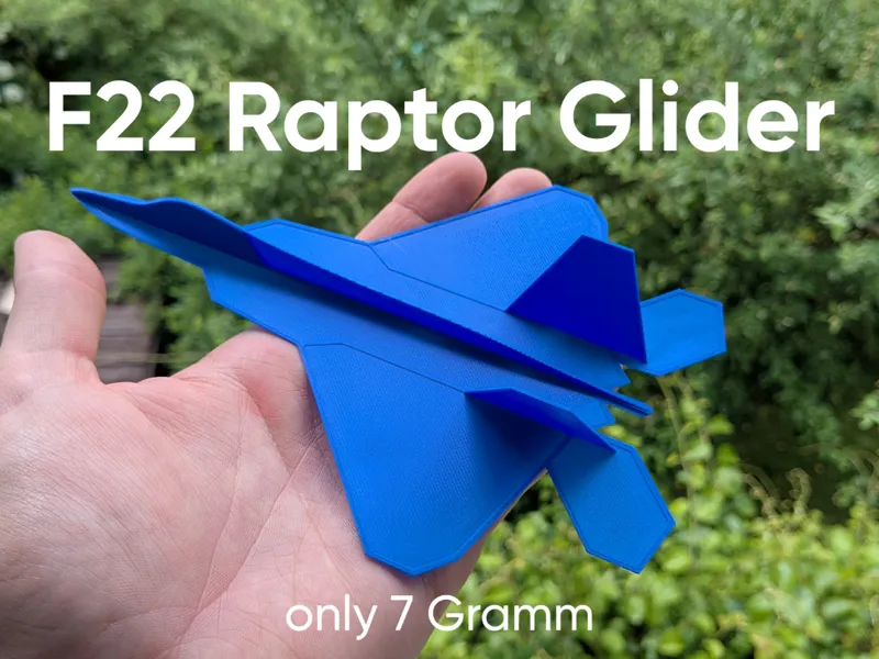 F22 Raptor Glider