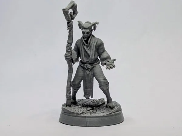 https://makerworld.bblmw.com/makerworld/model/US6465e1598b7cc4/design/2025-06-06_52382906d2ace.jpeg