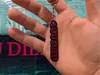 YOU DIED