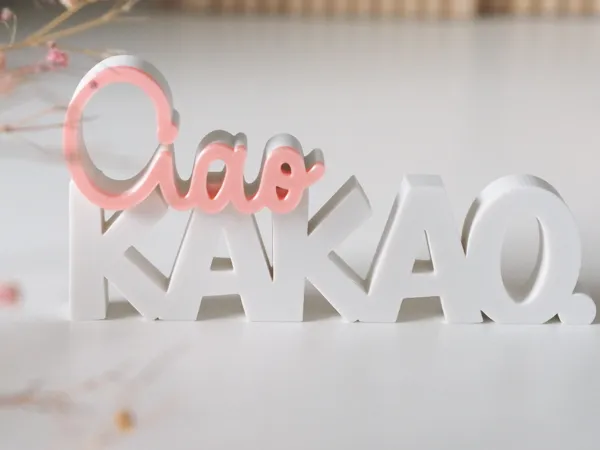 https://makerworld.bblmw.com/makerworld/model/US6469edf6a87a46/design/2025-05-25_c3e8df6ce13918.jpg