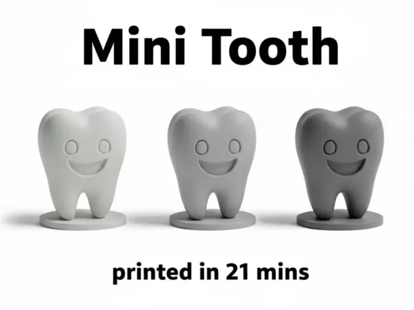 https://makerworld.bblmw.com/makerworld/model/US647324fdf7c47c/design/2025-10-31_e888635b0724b.jpg