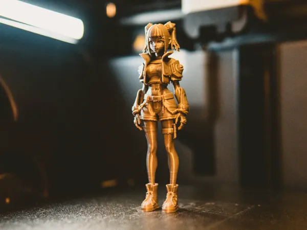 https://makerworld.bblmw.com/makerworld/model/US6475072554317b/design/2025-10-17_711a2273d8da5.jpg
