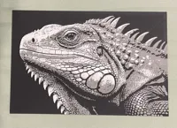 0.08mm layer, 2 walls, 100% infill