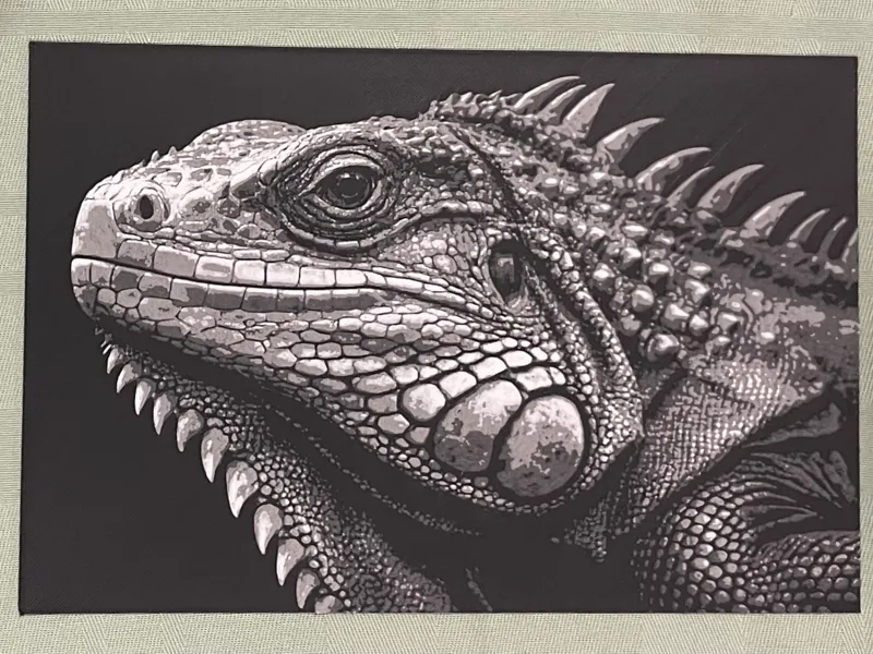 Iguana Project