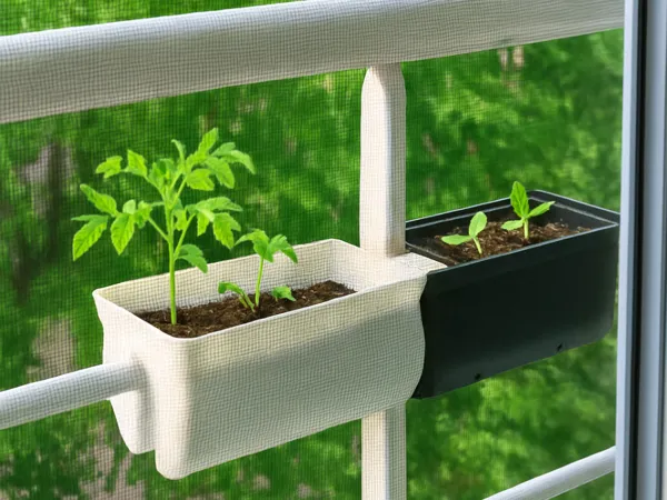https://makerworld.bblmw.com/makerworld/model/US6480c9c4d7f8e9/design/2025-06-03_03fa0f31702dc.png