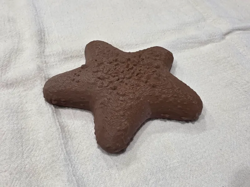 Chicken Star