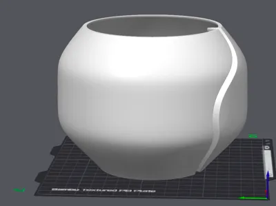 Orchid Pot