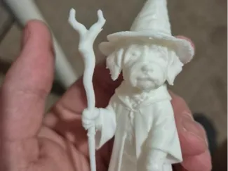 Dog Wizard