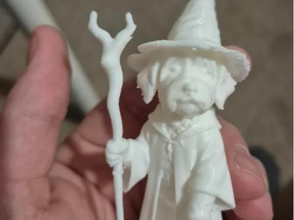 Dog Wizard