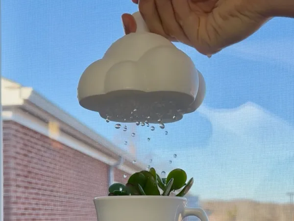 https://makerworld.bblmw.com/makerworld/model/US648afb18697ff9/design/2025-03-10_262fb0e49ffc.jpg