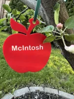 McIntosh