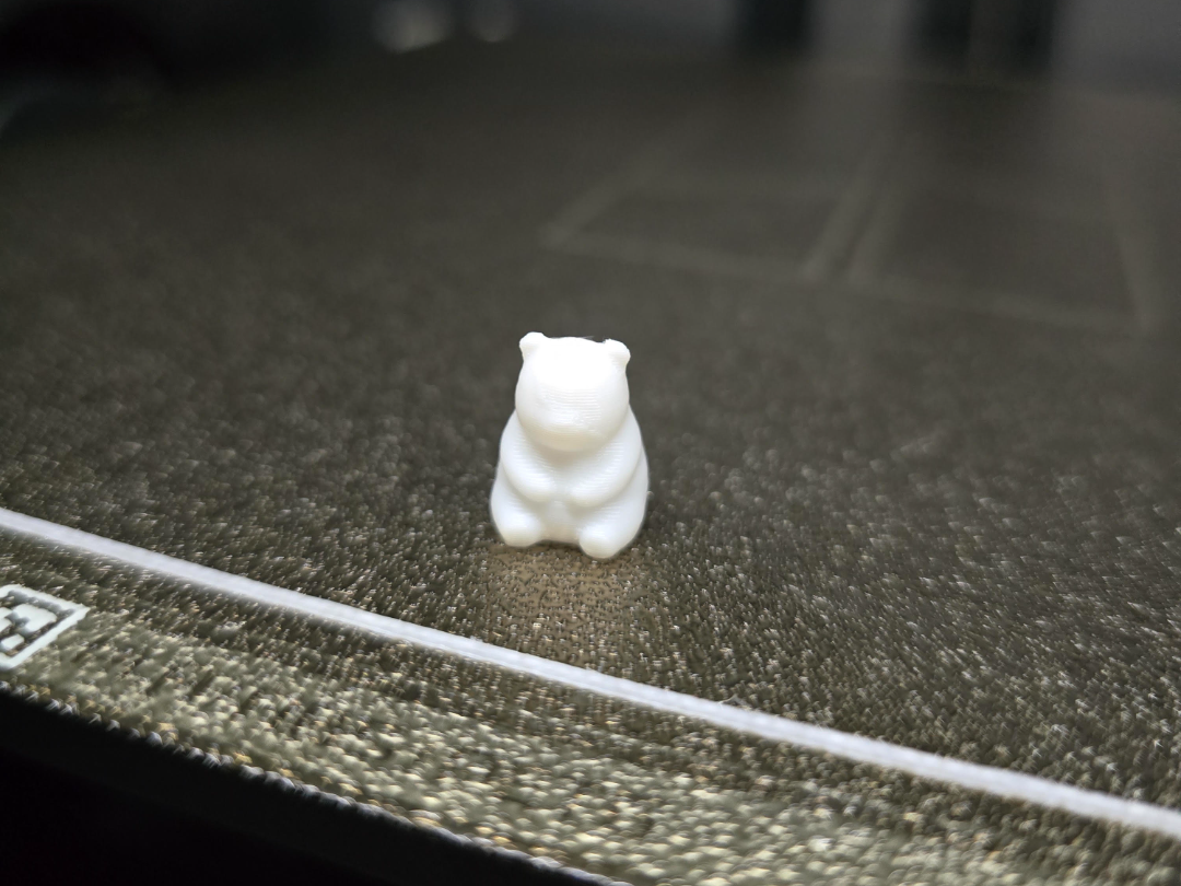 PANDA BEAR 12 MIN TEST PRINT