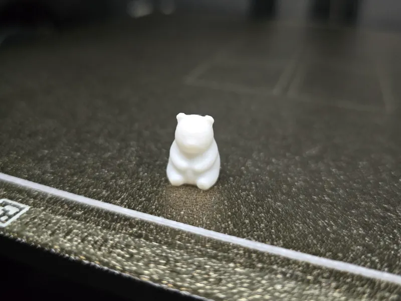 PANDA BEAR 12 MIN TEST PRINT