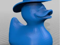 cowboy hat on duck