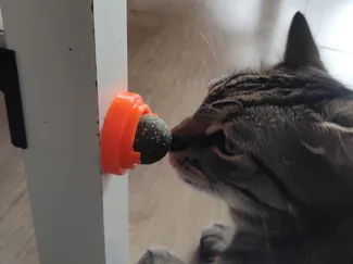 Catnip holder