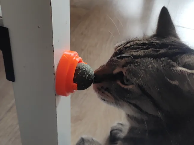 Catnip holder