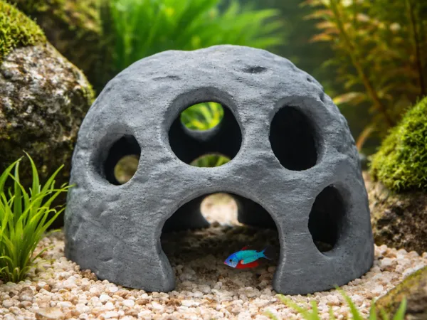 https://makerworld.bblmw.com/makerworld/model/US649ec59c923366/design/599b61cac8142ac7.png