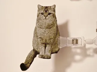 金渐层彩色版画-啾啾