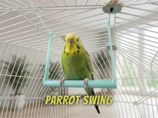 Parrot Swing - Easy Print Cage Accessory