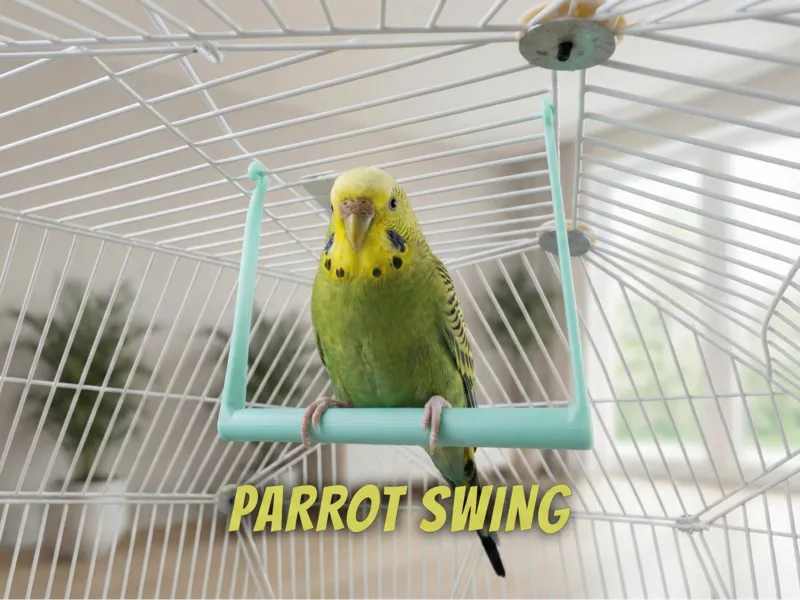 Parrot Swing - Easy Print Cage Accessory