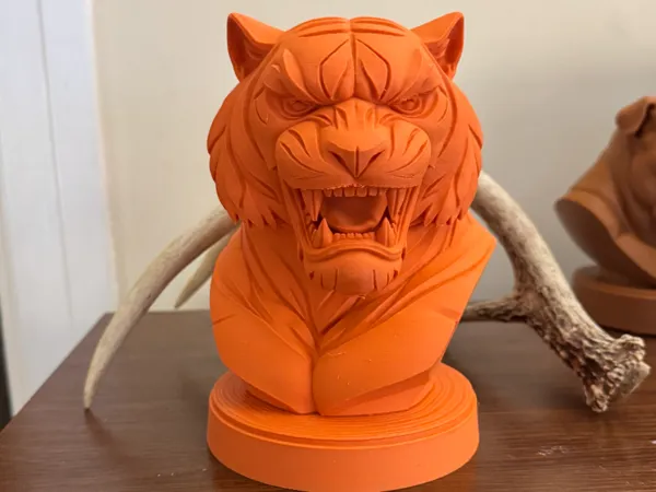 https://makerworld.bblmw.com/makerworld/model/US64b153b32711aa/design/672c082b4a2be9ac.jpeg