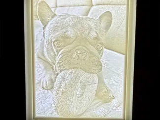 Litophane - Frenchie with donut
