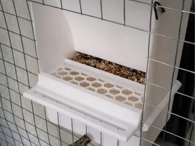 Automatic Feeder for Cockatoos and Birds