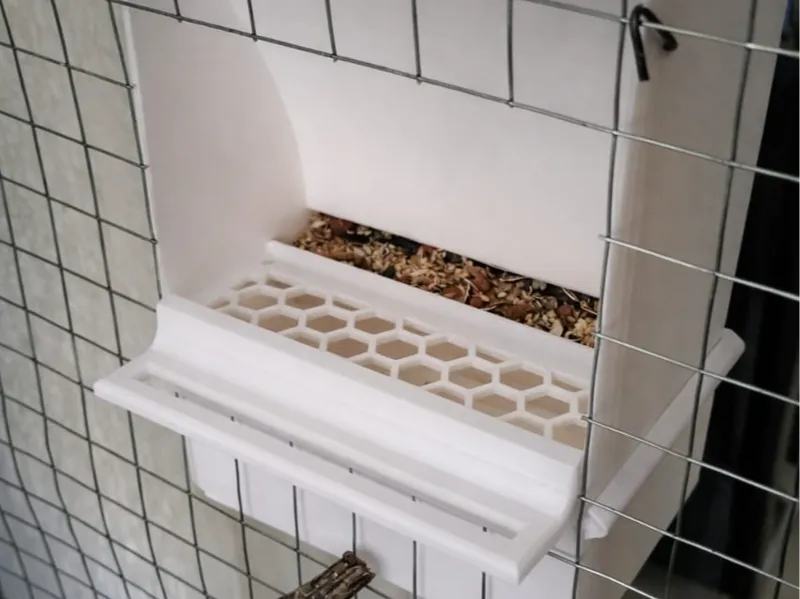 Comedero Automático para Cacatuas y Aves