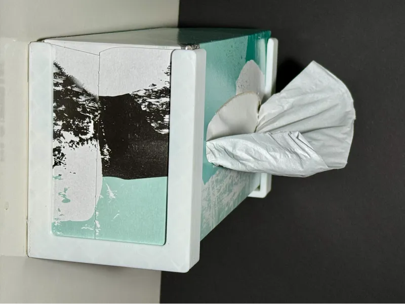 Customizable tissue box holder