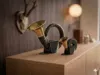 Fürst-Pless-Horn