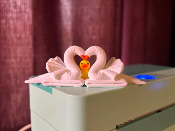 https://makerworld.bblmw.com/makerworld/model/US64c60579d49c38/design/7abd93a676dfe34e.jpg