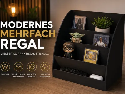 Modern Multi-Shelf / Organizer