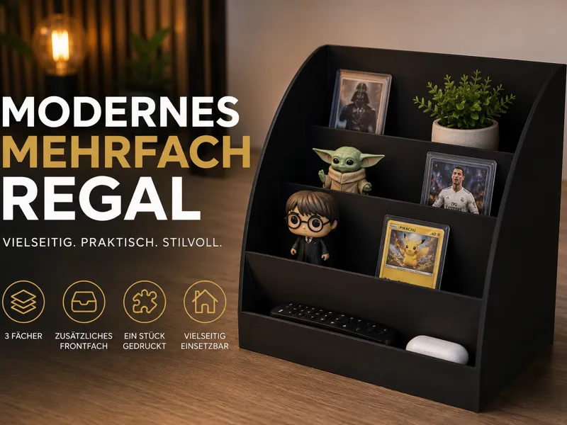 Modernes Mehrfach-Regal / Organizer