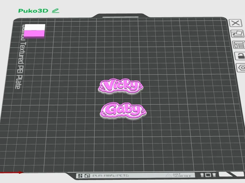 Vick+Gaby_Puko3D