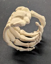 0.16mm layer, 4 walls, 20% infill