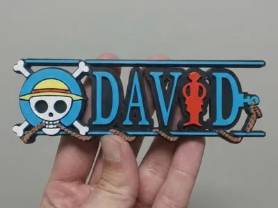 David one piece logo