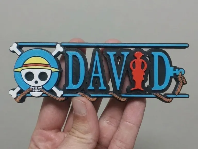 David one piece logo