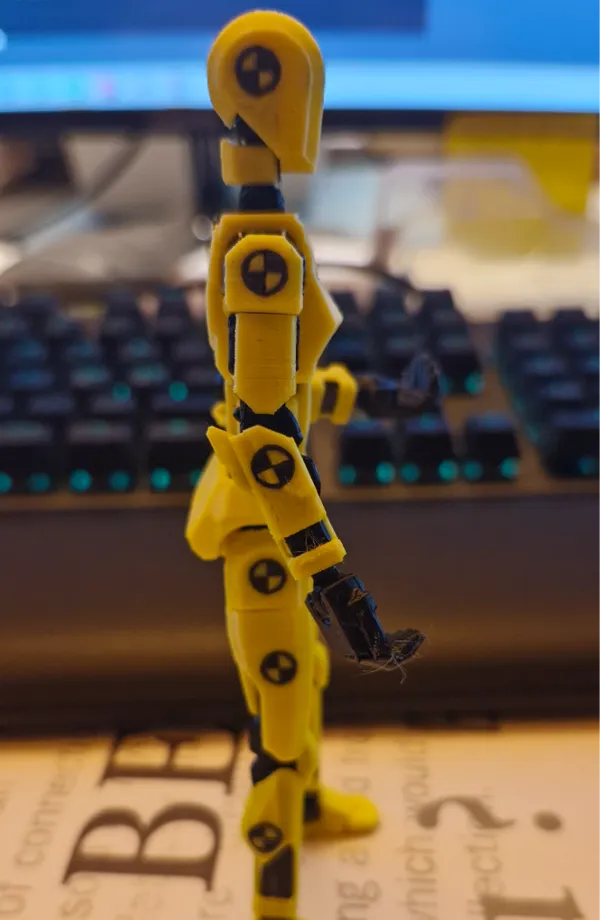 https://makerworld.bblmw.com/makerworld/model/US64d1403a8d8e57/design/2024-12-06_3ec2861c2aa25.jpg