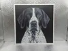 English Pointer_168x170_X1C