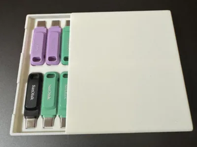 SanDisk Dual Go Case