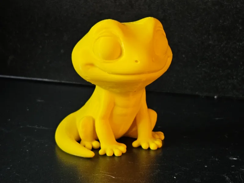 Cute Gecko