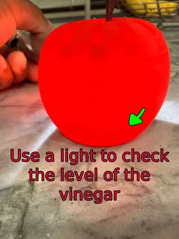 Soporte: Apple Shaped Fruit Fly Trap - Easy Print - Works! — vista de referencia 5